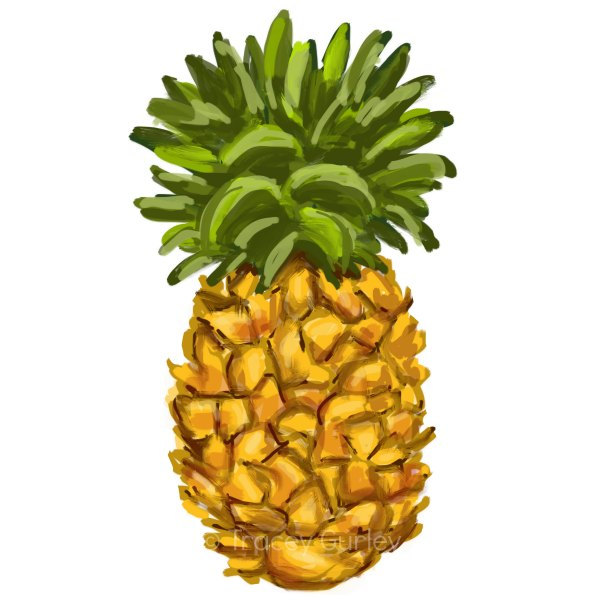 Pineapple clipart | Etsy