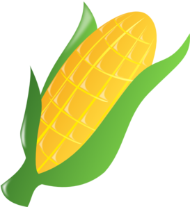 Corn field clip art