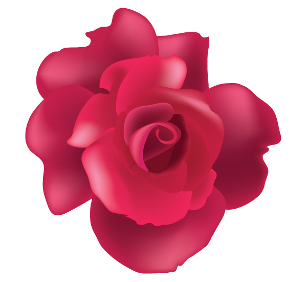 Vector Rose Flower Image | Download Free Vector Art | Free-Vectors