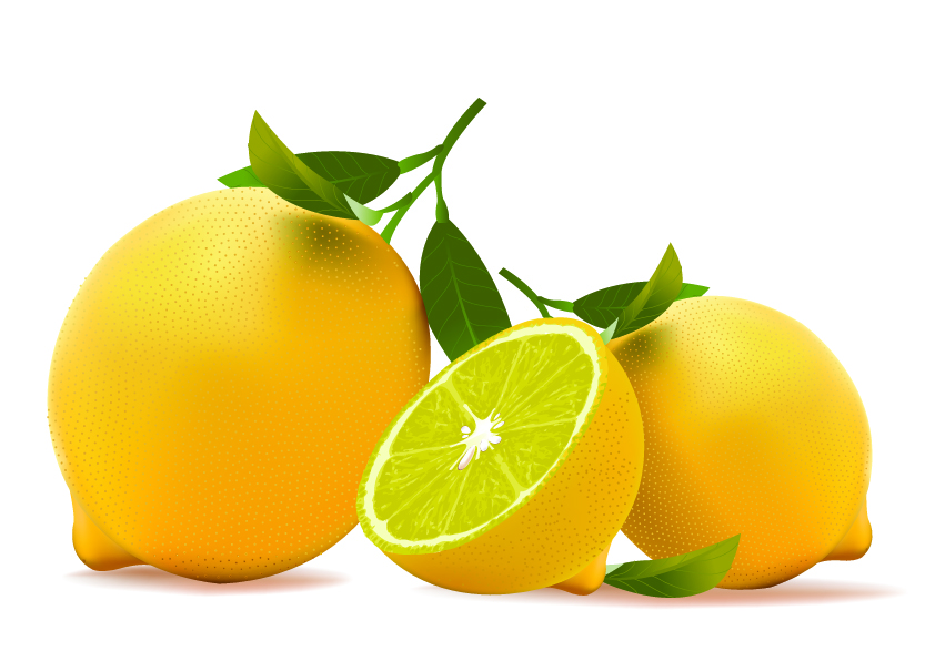 Ultrarealistic fruit vector Free Vector