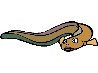 Cartoon Eel