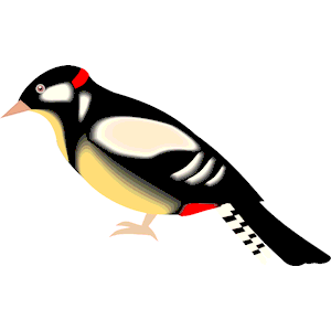 Woodpecker clipart, cliparts of Woodpecker free download (wmf, eps ...