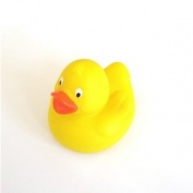 Duck Pinata Toys: Buy Online from Fishpond.co.nz