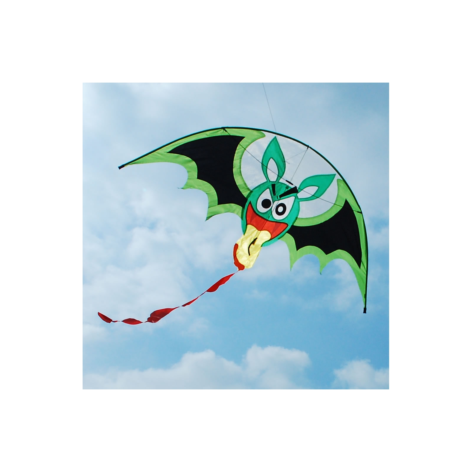 Easy to fly kids friendly kite 153cm x 153cm (Design in Hong Kong ...