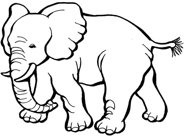 Elephant Drawing Outline - ClipArt Best