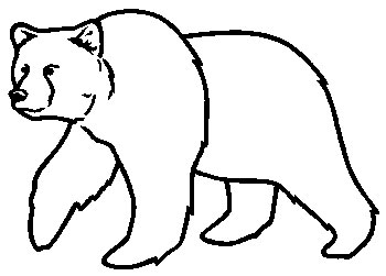 Bear Head Drawing - ClipArt Best