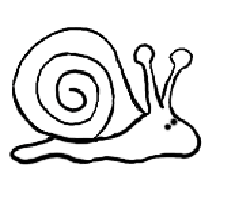 How to Draw Snails : Drawing Tutorials & Drawing & How to Draw ...