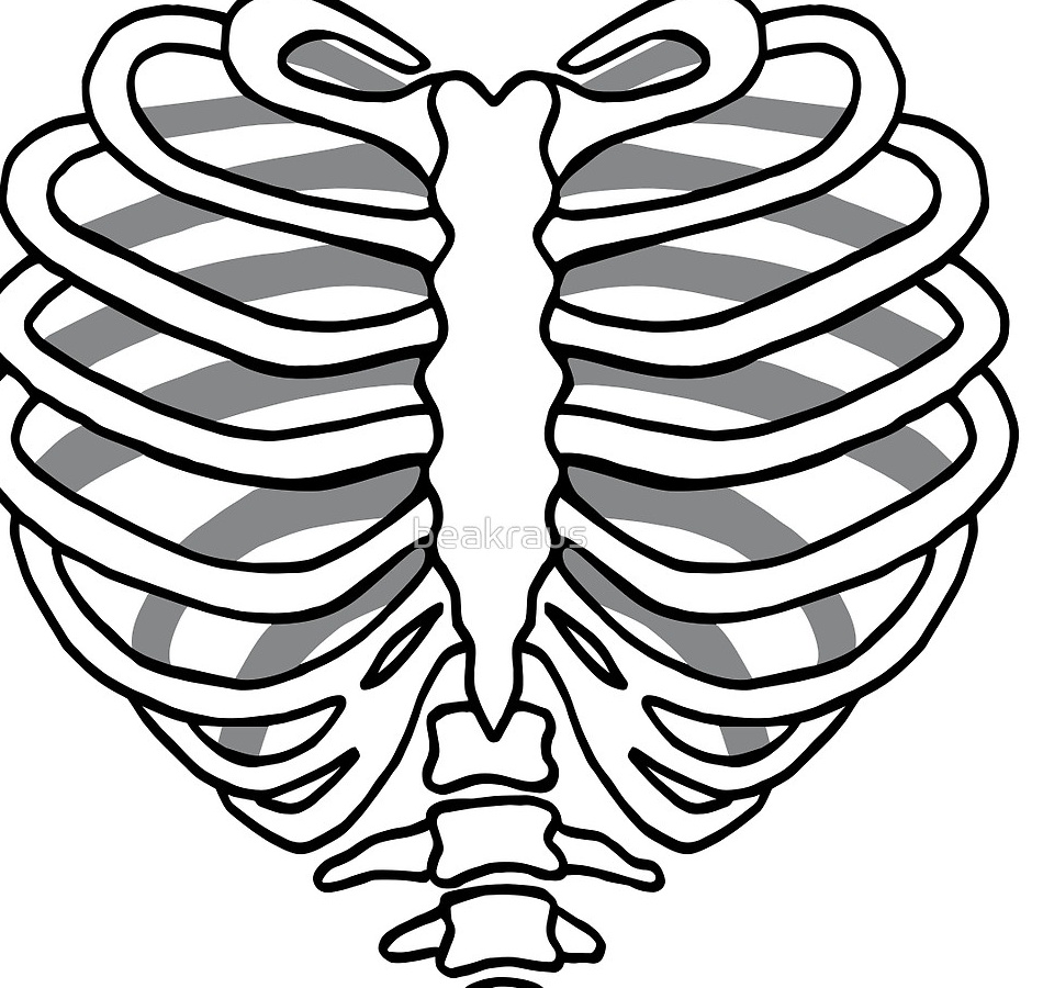 Skeleton Rib Cage Template Printable