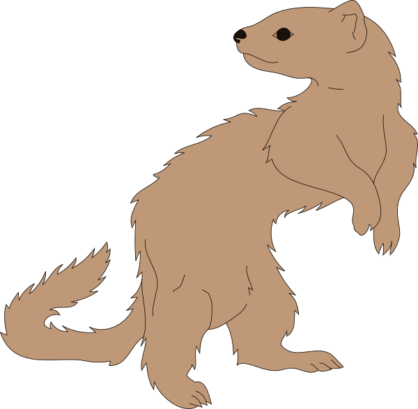 Ferret Looking Back Clip Art - vector clip art online ...