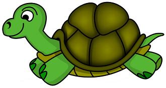 Turtles clipart