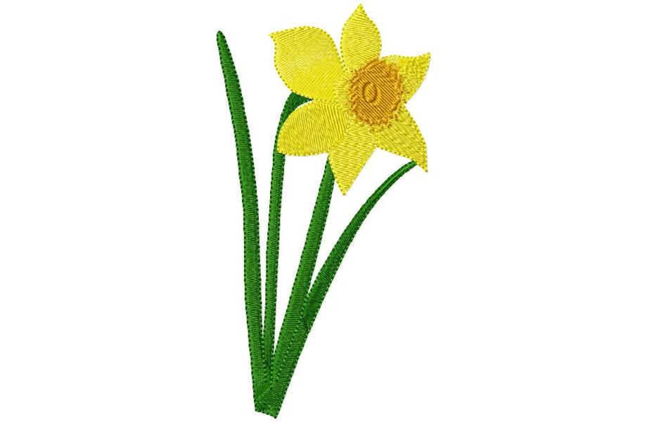 Daffodil Cartoon Clipart - Free to use Clip Art Resource