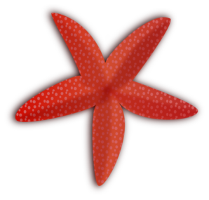 Starfish clip art - vector clip art online, royalty free & public ...