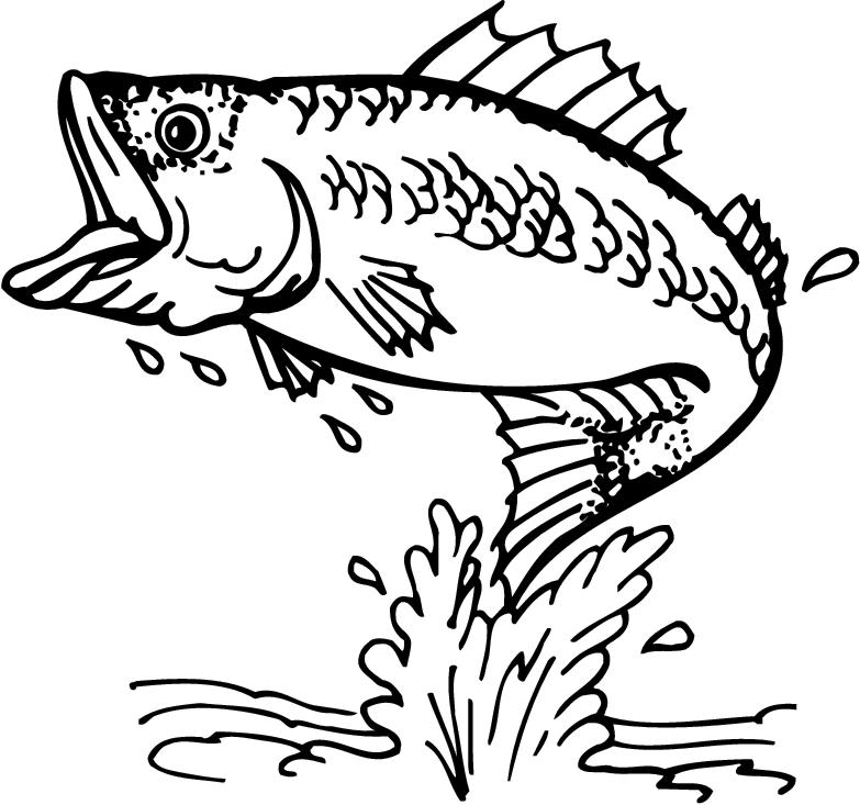 fishing fly clipart