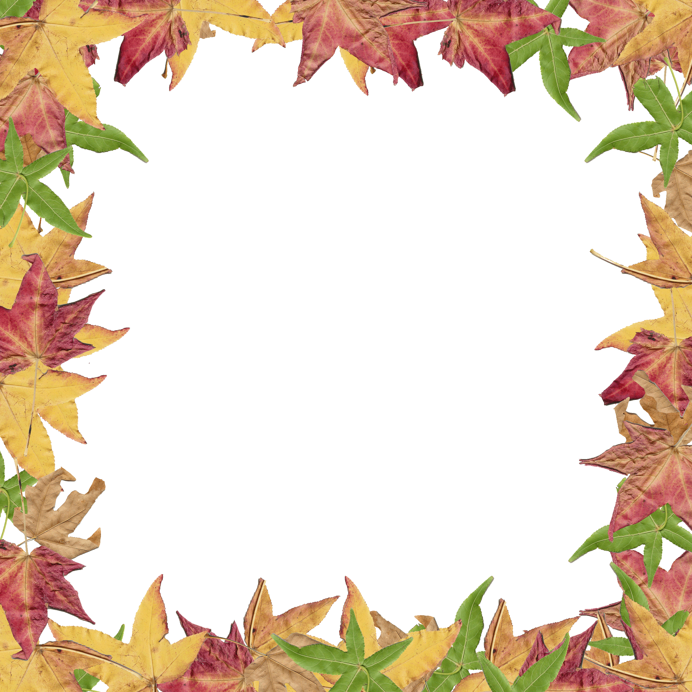 Leaf Page Borders Free - ClipArt Best