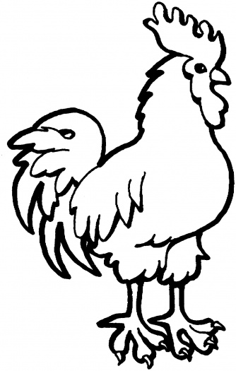 Rooster coloring page | Super Coloring