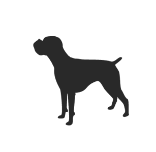 Boxer Silhouette Dog Decal