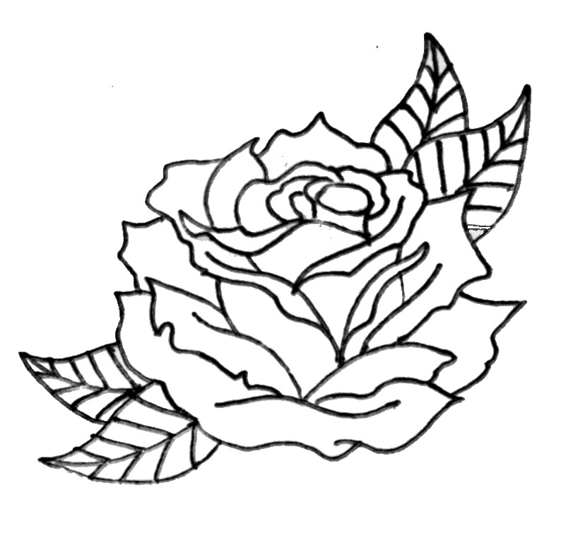 Pix For > Roses Outline Drawing