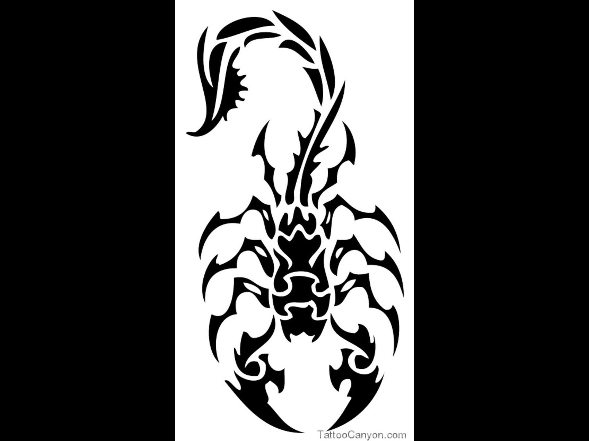 Tattoo Free Download 27006 Scorpion Tribal Designs Picture #