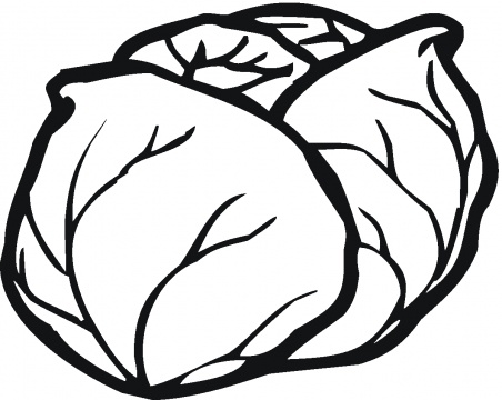 Lettuce 5 coloring page | Super Coloring