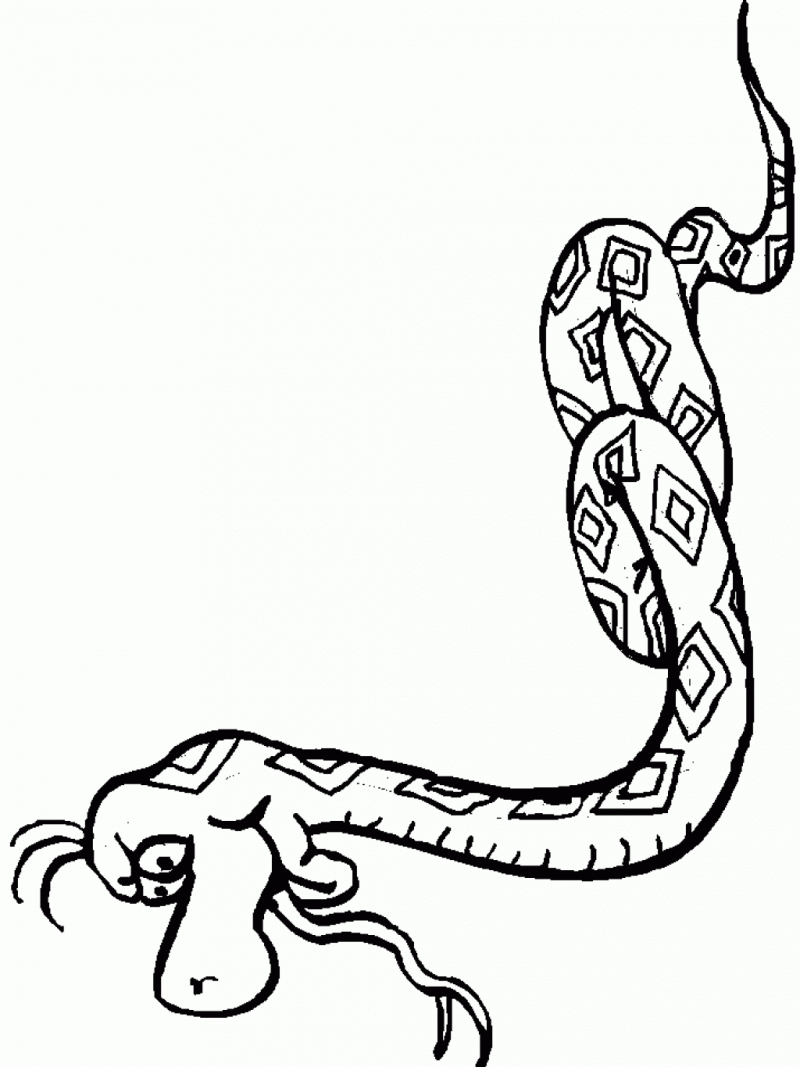 Printable Snake 7th Snakes Coloring Pages Pictures : Twodee.