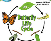 BUY 2 GET 1 FREE Butterfly Clip Art, "Butterfly ...