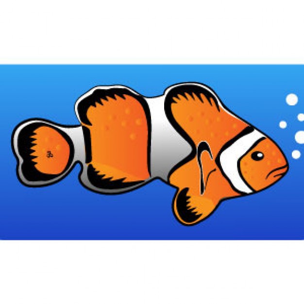 Clownfish Clip Art | Download free Vector