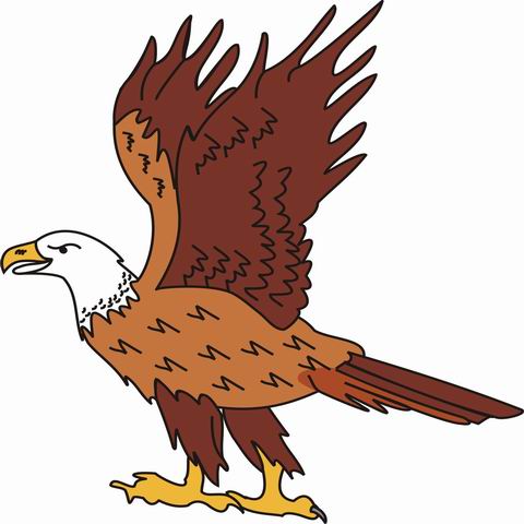 Animal's Name, Coloring Pages Eagle