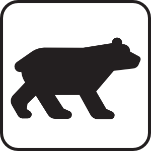 Bear Viewing White clip art Free Vector / 4Vector