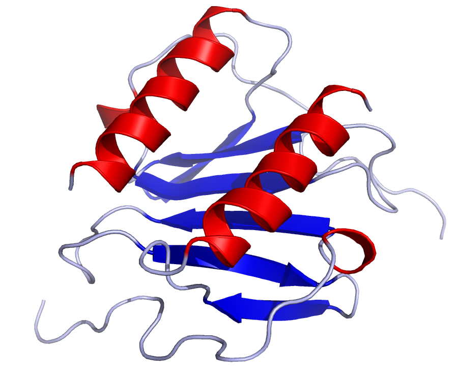 Chemokine