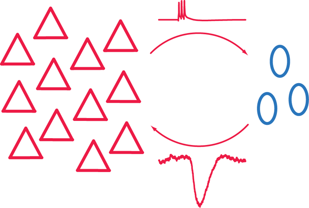 PLOS Biology: Quiet Down Now: How Excitatory Neurons Inhibit One ...