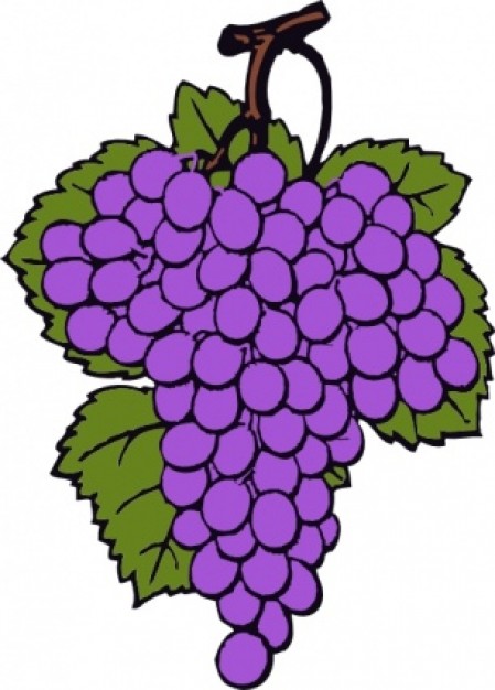 Grape Cluster clip art | Download free Vector