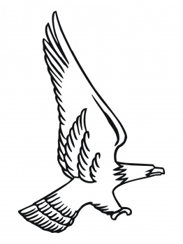 Attacking Bald Eagle coloring page | Super Coloring