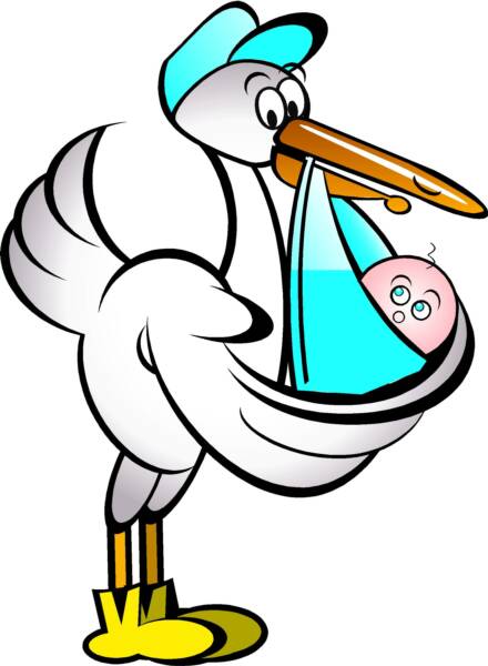 Boy Stork - ClipArt Best