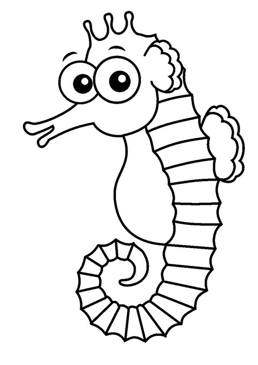 Seahorse To Color - ClipArt Best