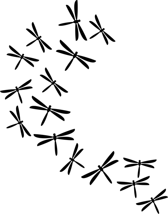 Simple Dragon Fly - ClipArt Best