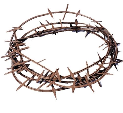 Crown of Thorns: Christianity | eBay