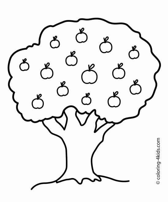 Colouring Pictures Of A Tree - ClipArt Best