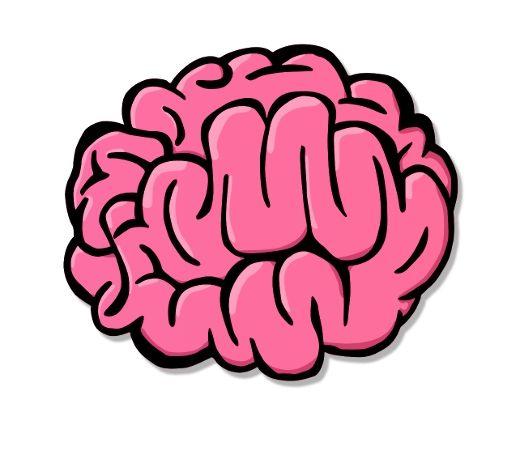 Amygdala - ClipArt Best