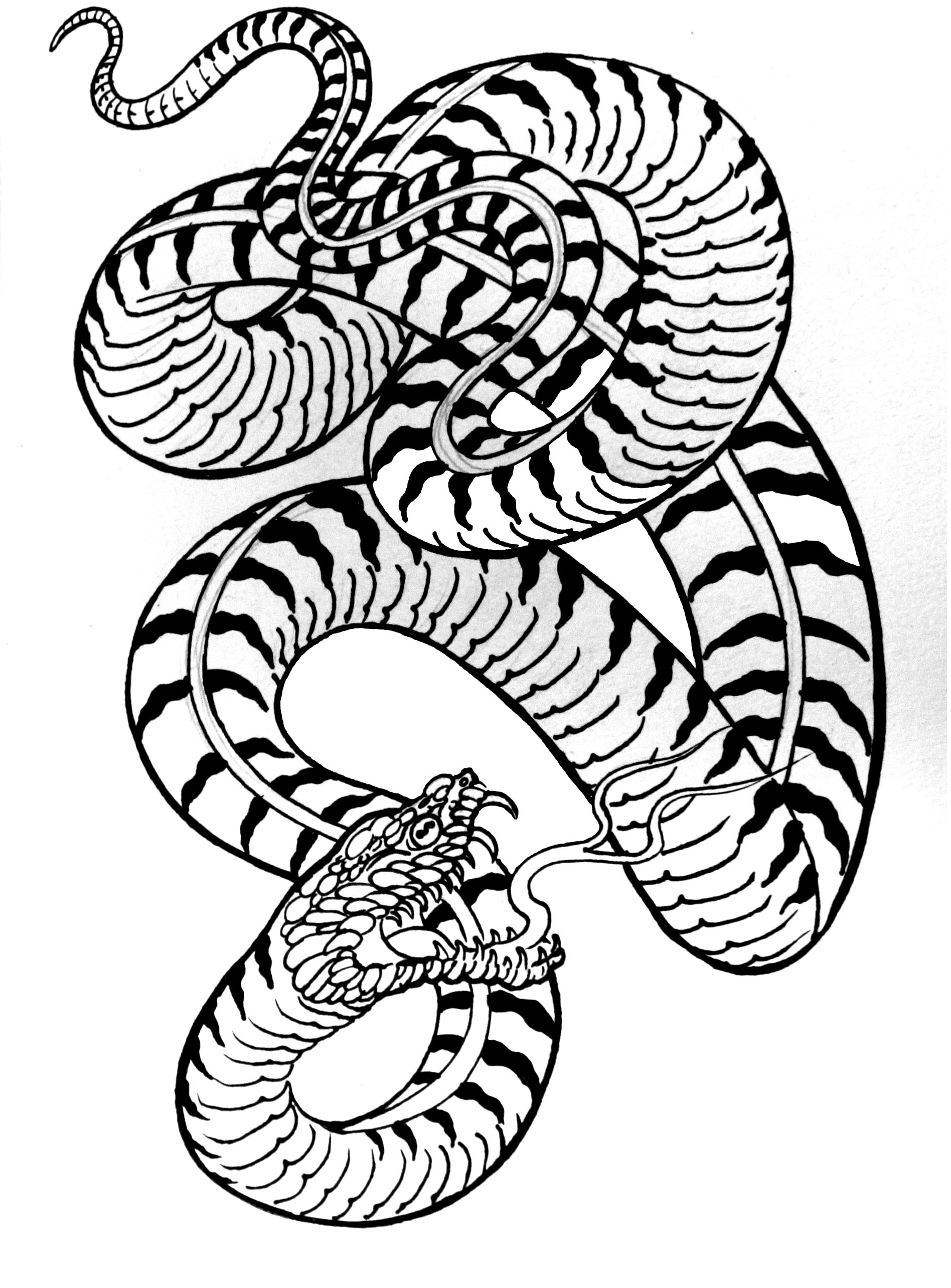 snake4 | DIGITAL DEMIGODS - ClipArt Best - ClipArt Best