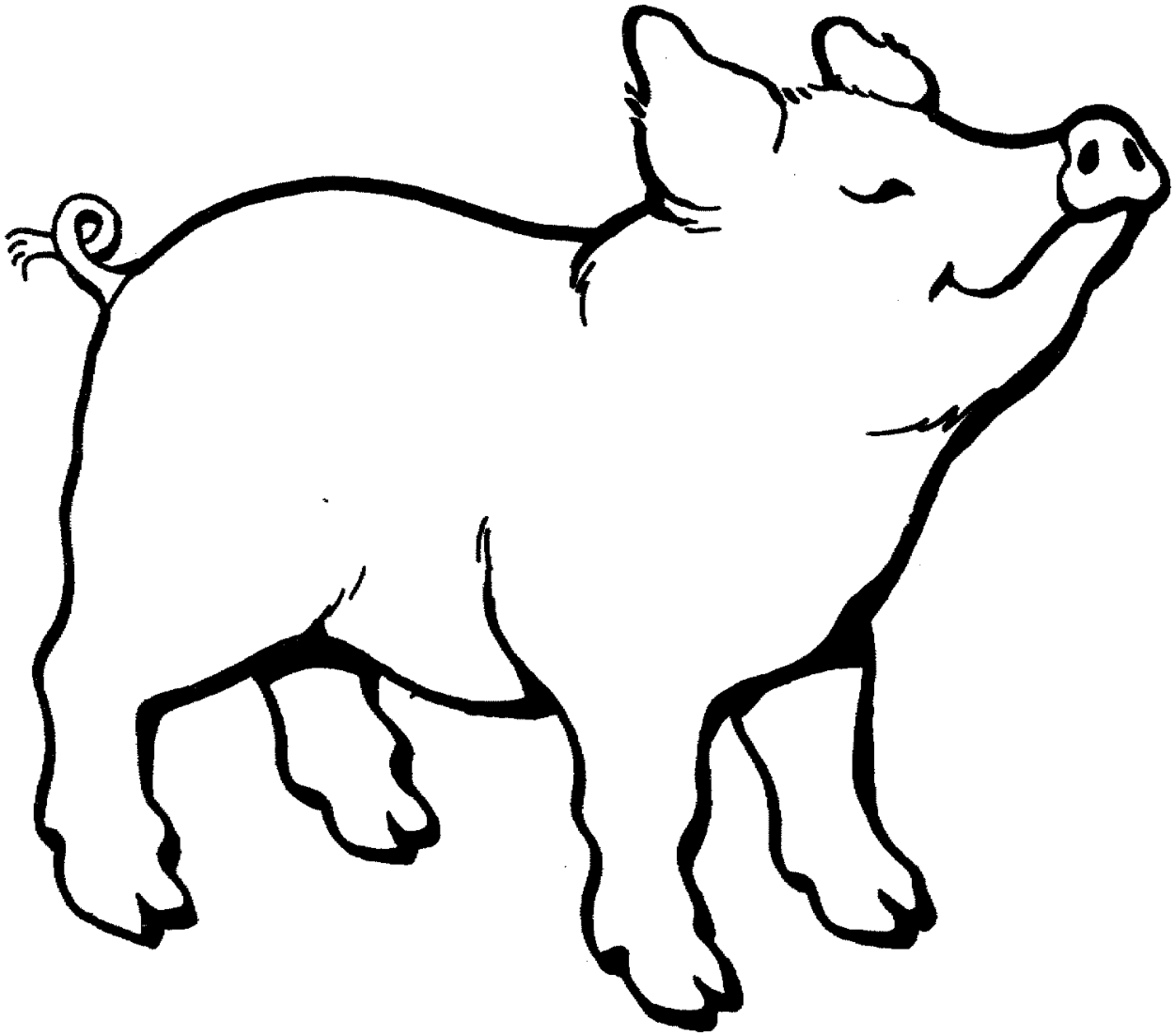 Black And White Cartoon Pig - ClipArt Best