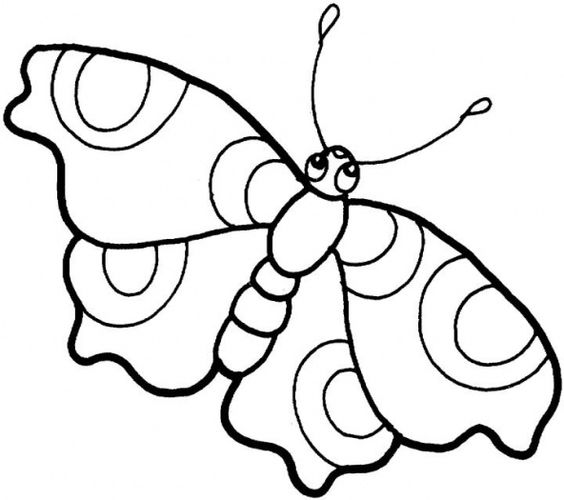 Butterfly Drawings - ClipArt Best