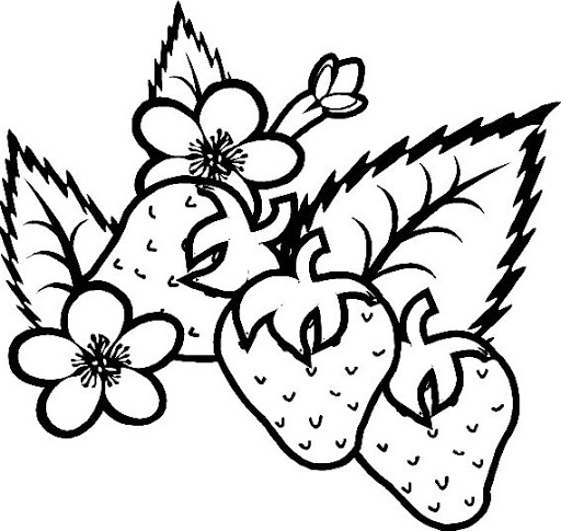 STRAWBERRIES COLORING PAGES - ClipArt Best - ClipArt Best