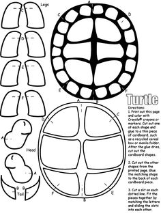How To Draw Turtle Shell Pattern - ClipArt Best