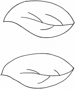 Grape Leaf Template - ClipArt Best