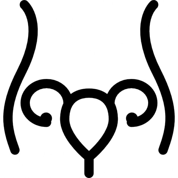 Uterus and Fallopian tube inside woman body outline Icons | Free ...