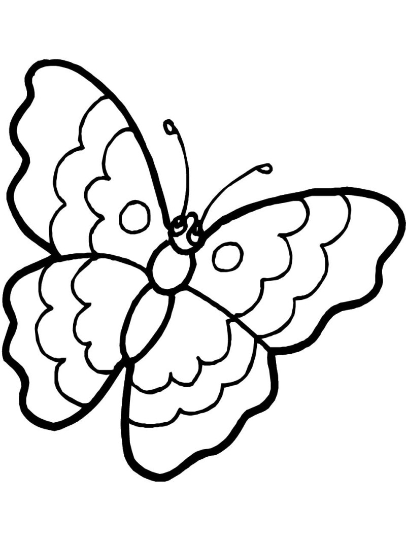 Best Butterfly Color Page 54 #3645 - ClipArt Best - ClipArt Best