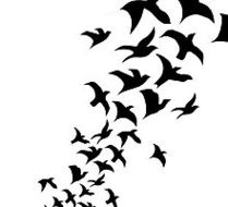 Birds Flying Sky Drawing Redbubble Clipart - Free to use Clip Art ...
