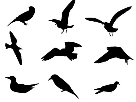 Free Bird Vector | Free Download Clip Art | Free Clip Art | on ...