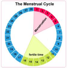 Choosing Baby Gender: Using Ovulation Calculator Boy or Girl To ...