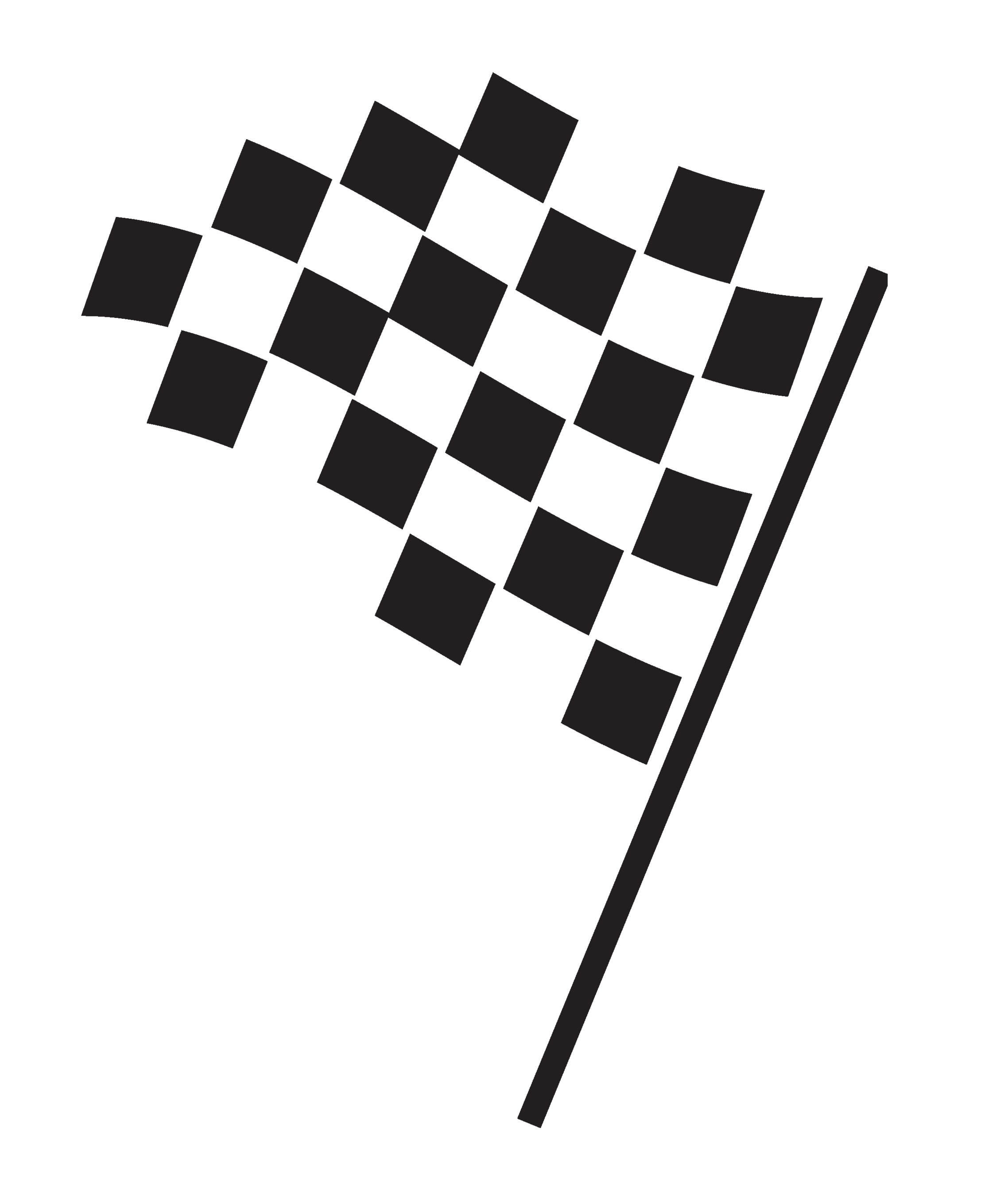 Checkered Flag Printable